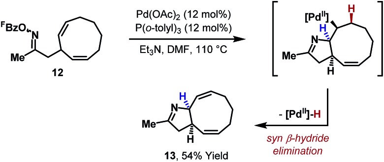 Scheme 5