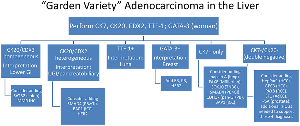 Figure 2: