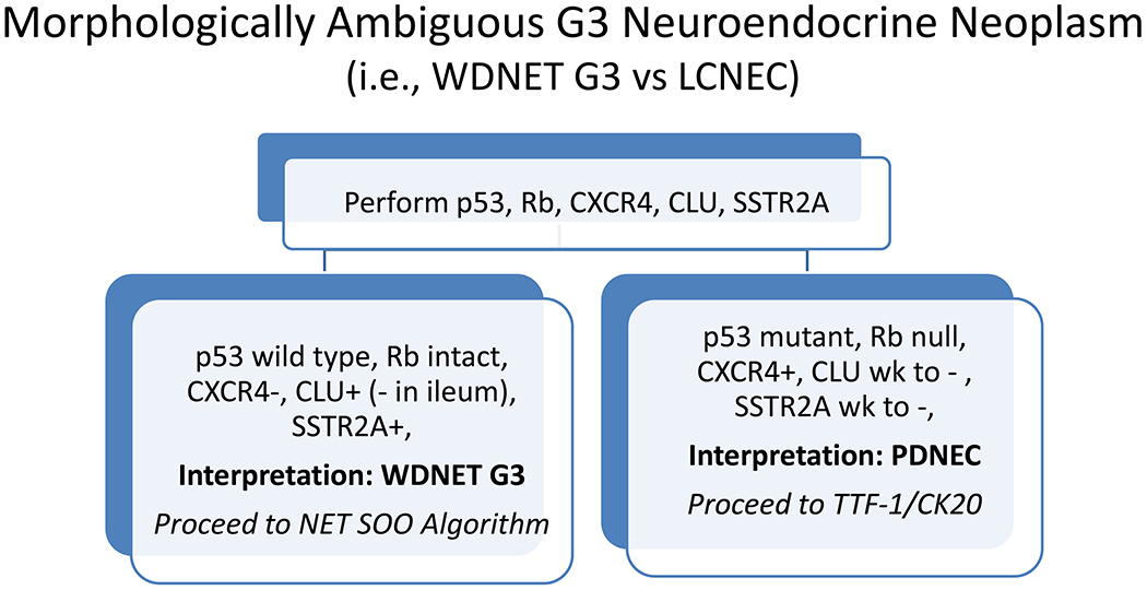 Figure 7: