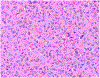 Image 24.