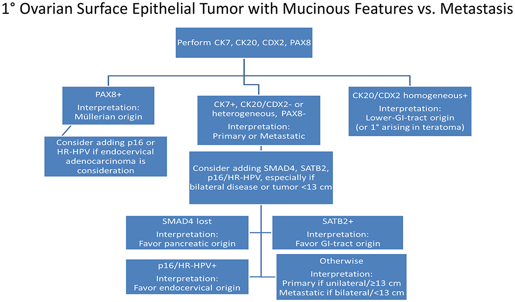 Figure 4: