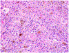 Image 3.