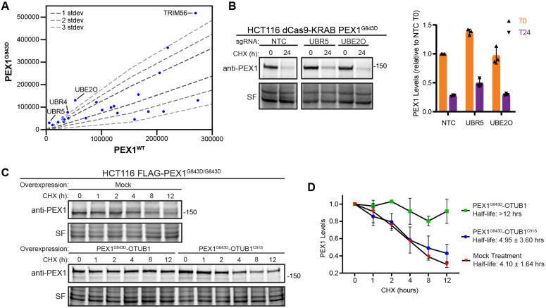 Figure 6: