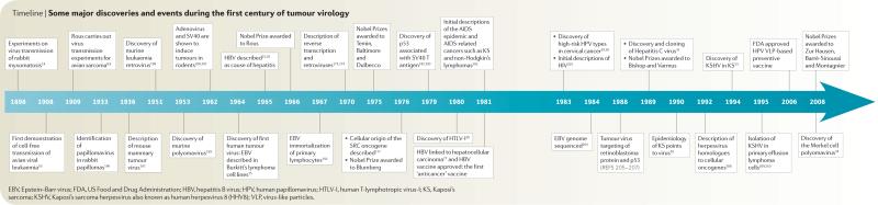 Timeline