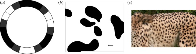 Figure 2.