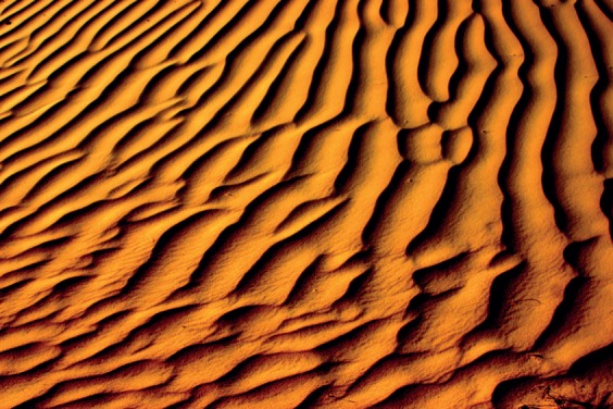 Figure 9.