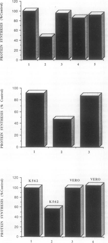 graphic file with name pnas01082-0014-a.jpg