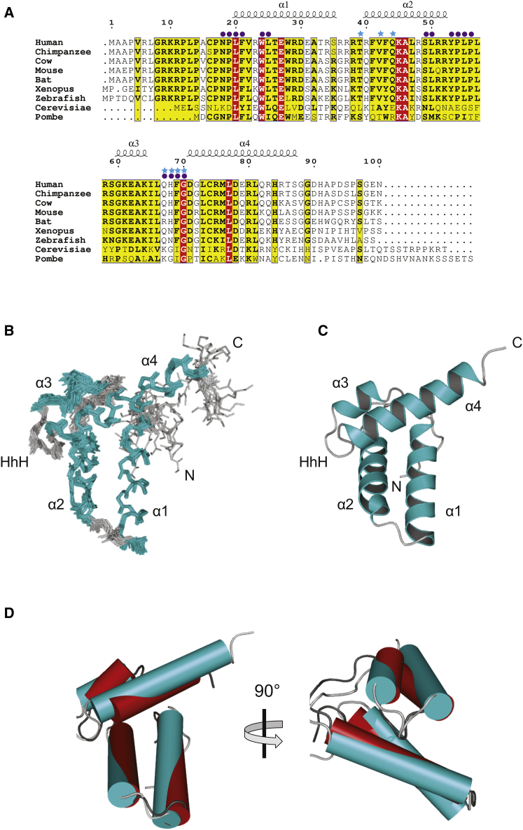 Figure 6