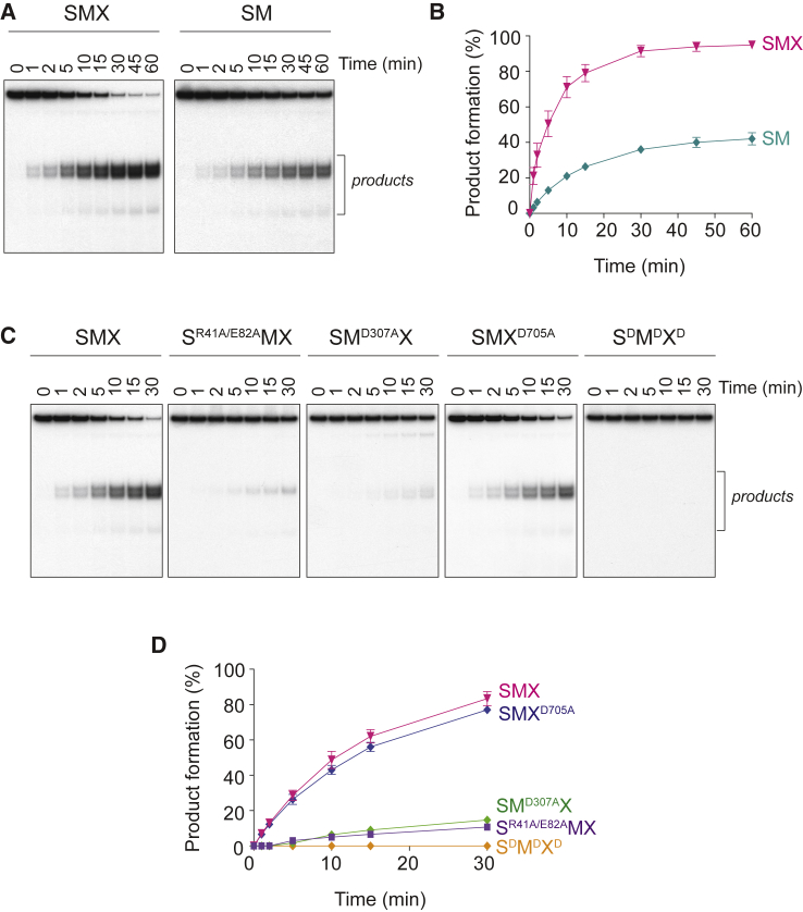 Figure 3