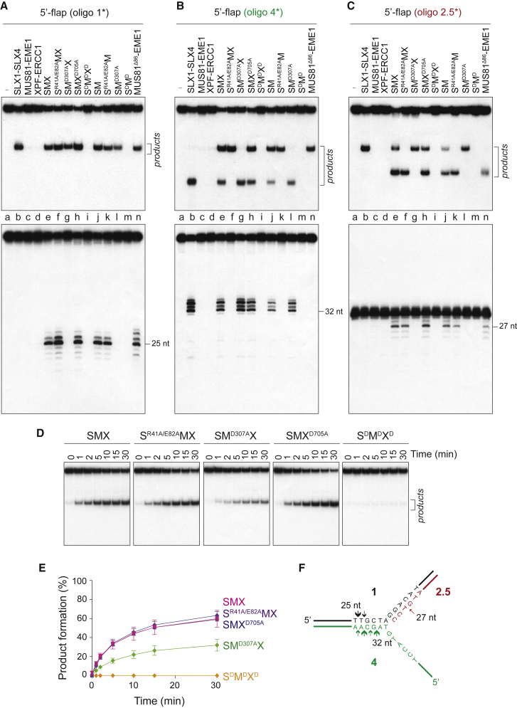 Figure 5