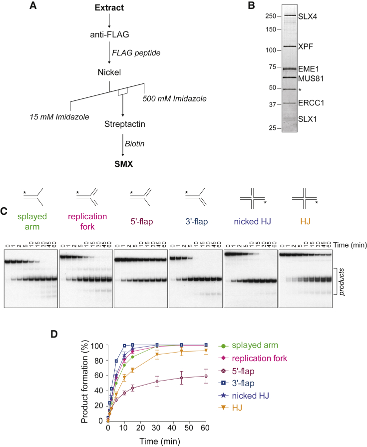 Figure 2