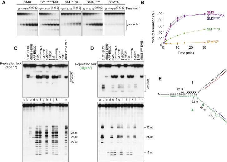 Figure 4