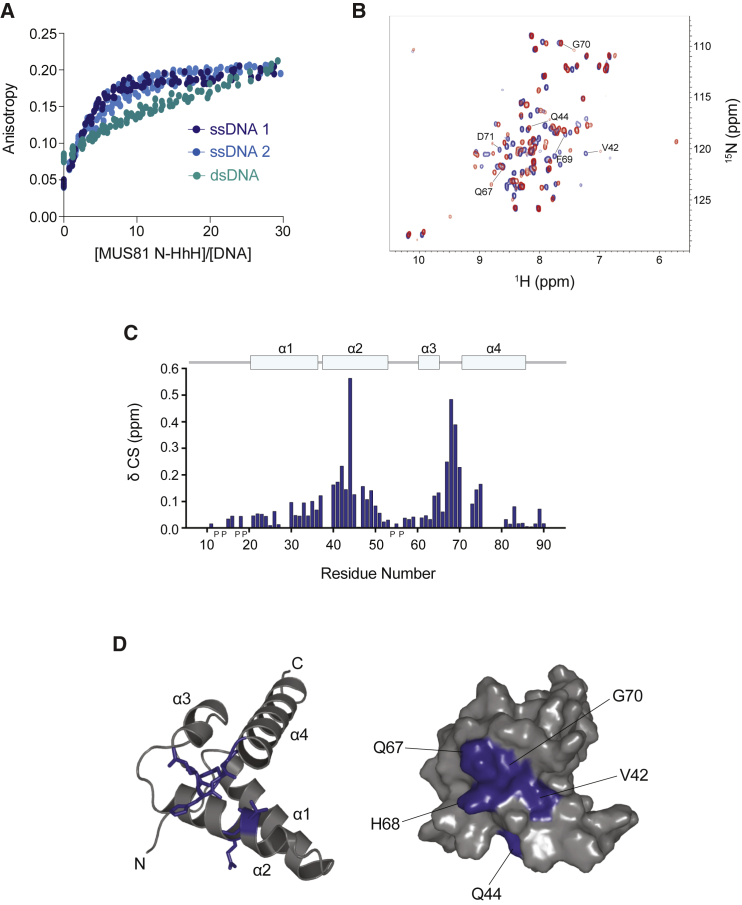 Figure 7