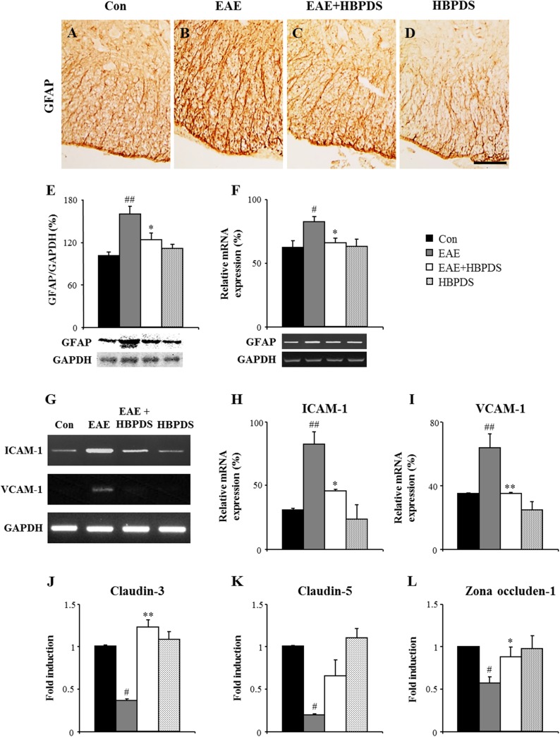 Fig 10