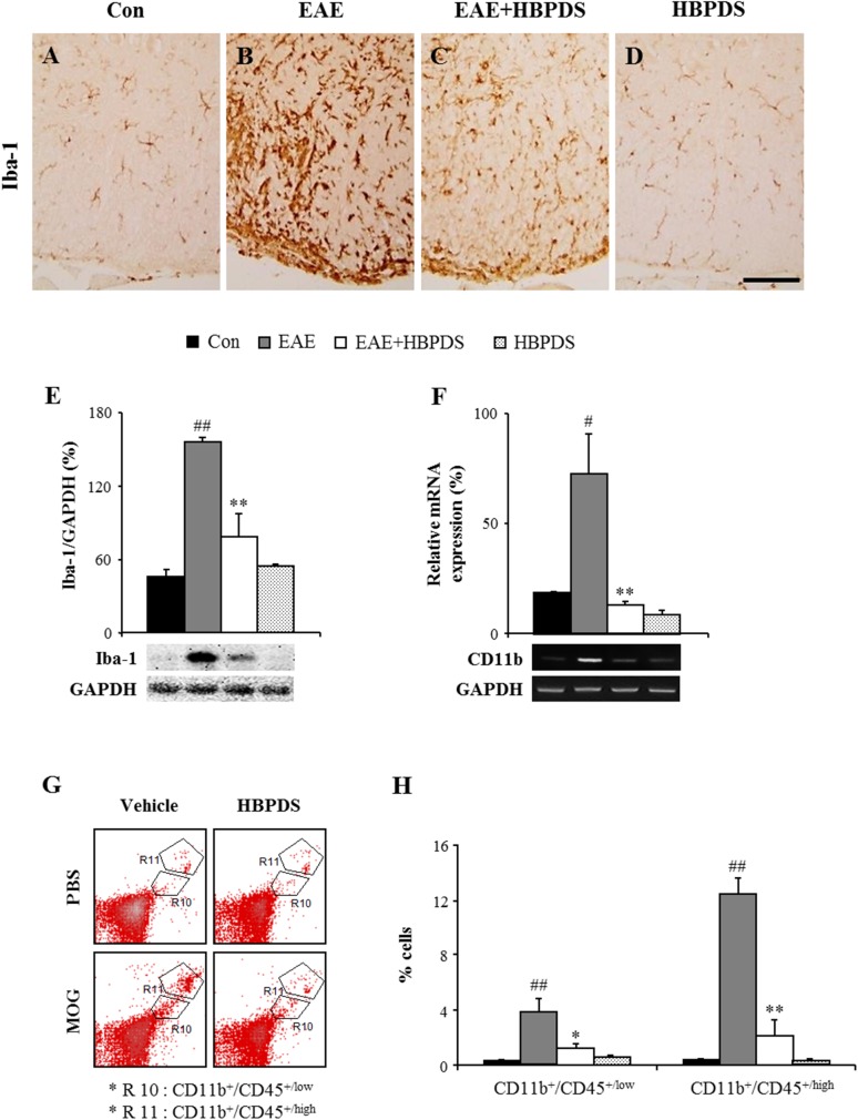 Fig 8