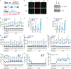 Extended data Fig. 1 |