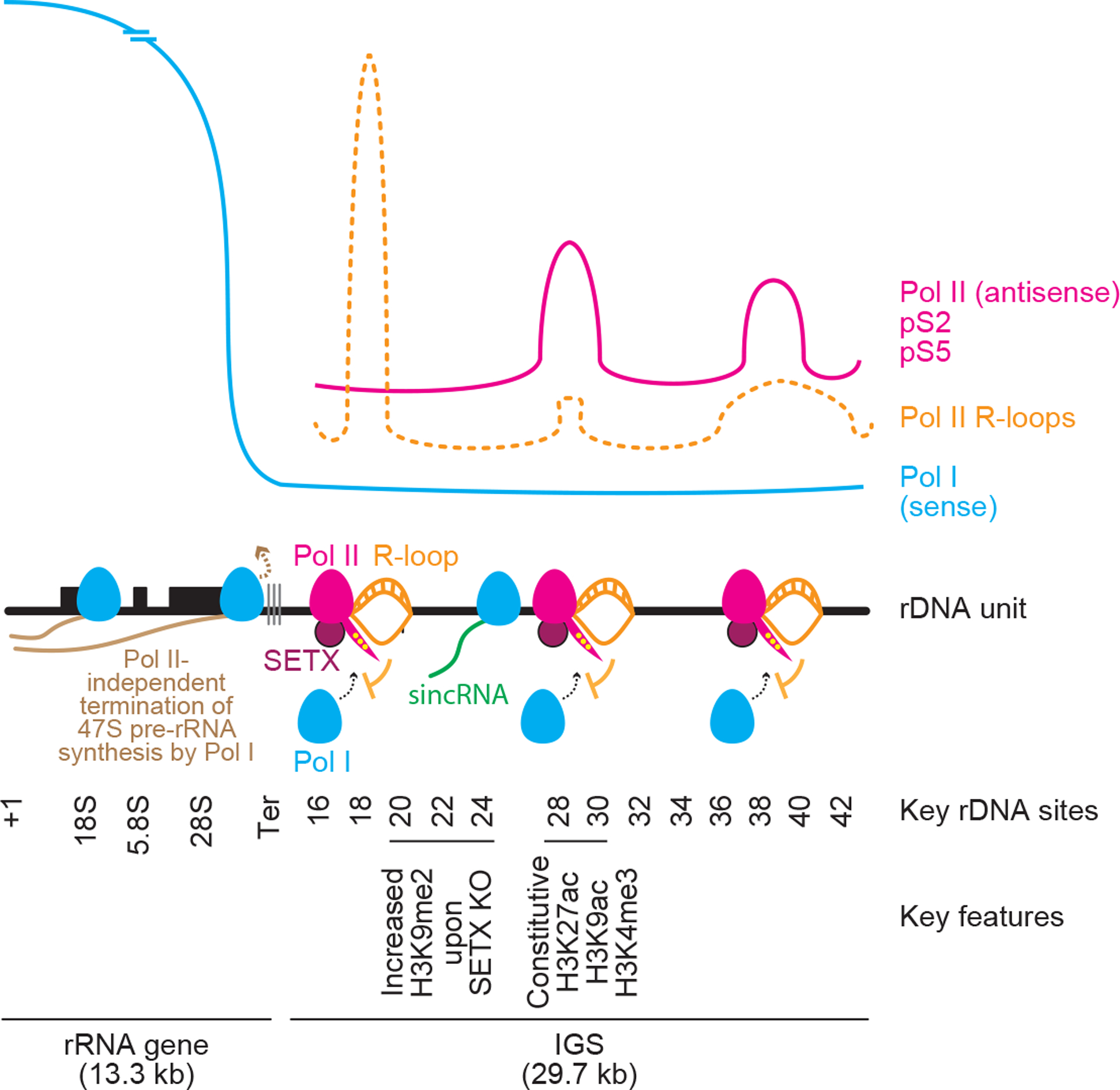 Extended data Fig. 10 |