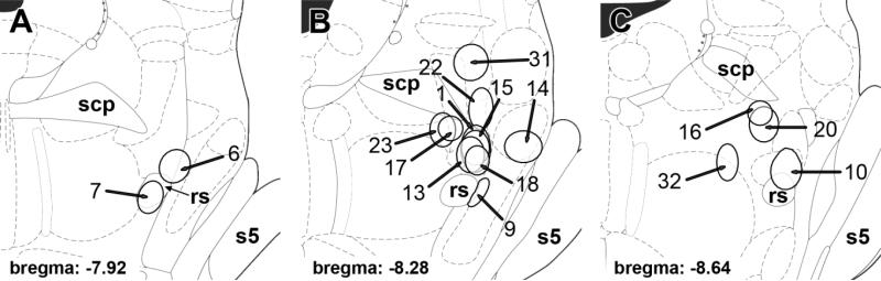 Fig. 3