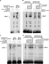 FIG. 4.