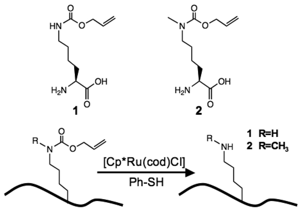 Scheme 1