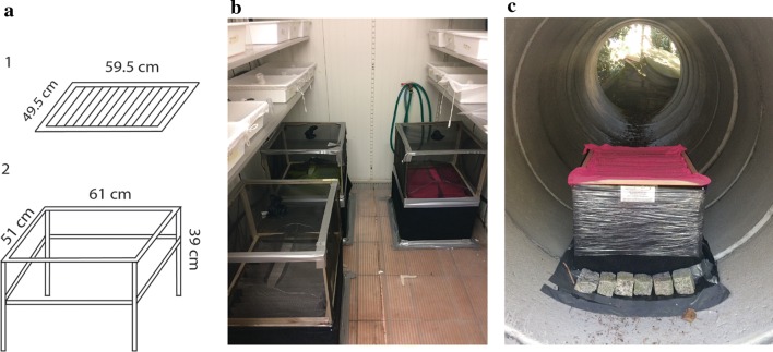 Fig. 2