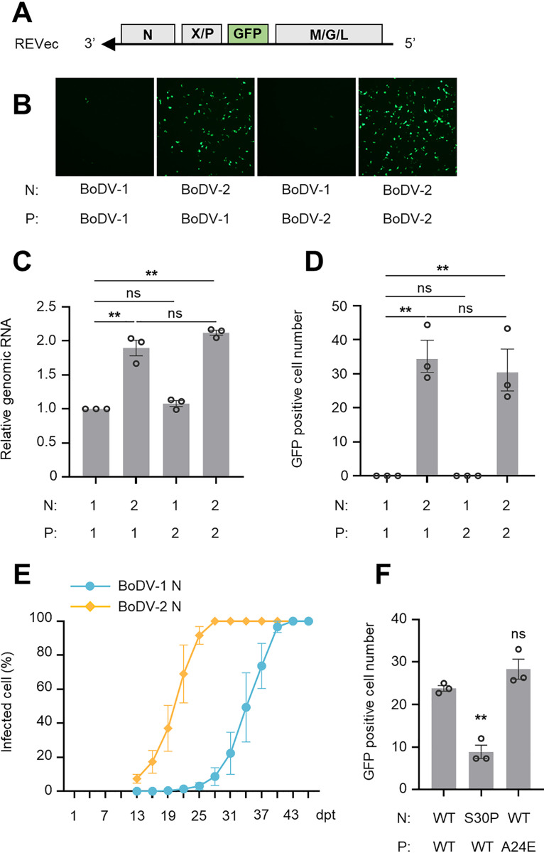 FIG 4