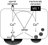 Fig. 1