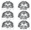 Fig. 24