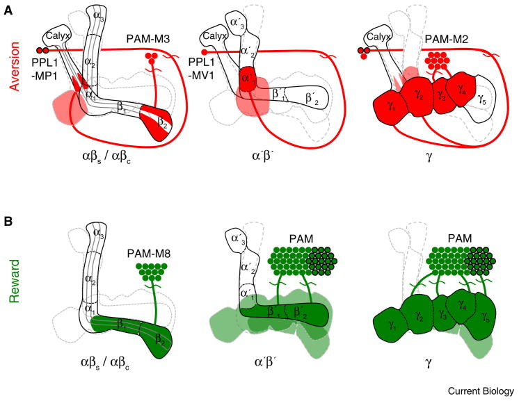 Figure 3