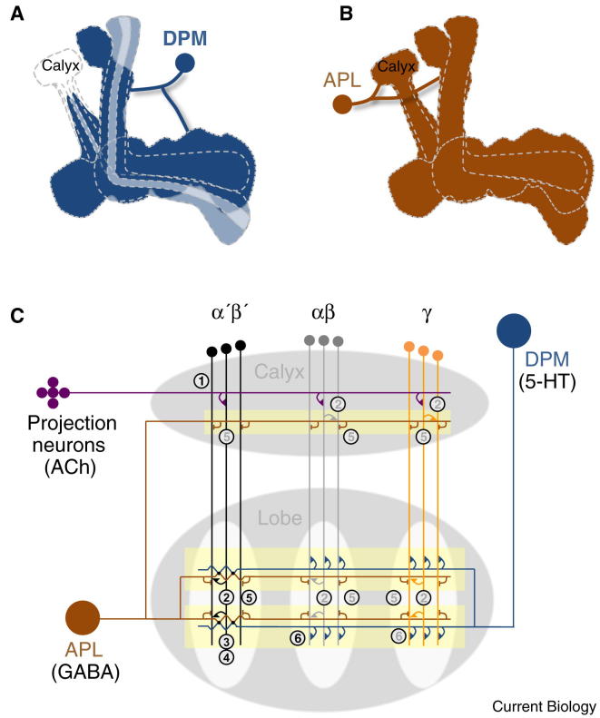 Figure 4