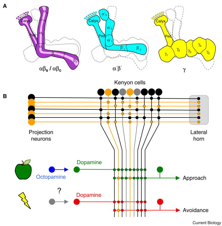 Figure 2