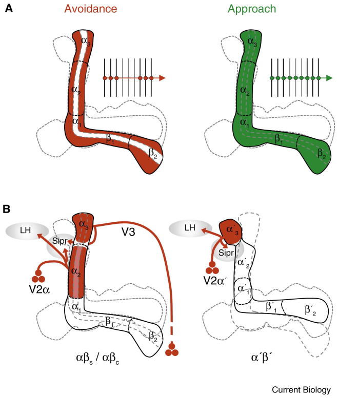 Figure 5