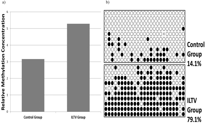 Fig 5