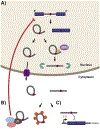 Fig. 2.
