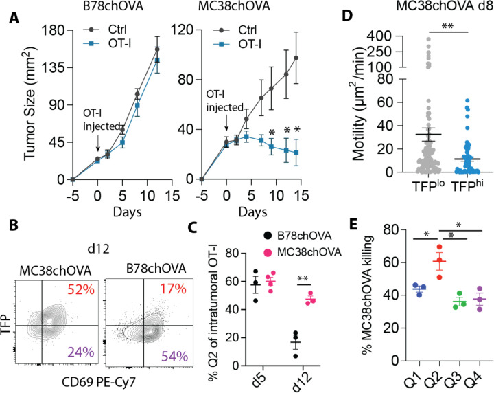 Fig. 4: