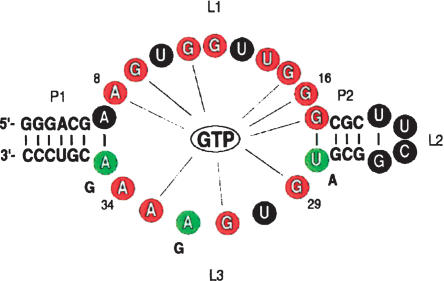 FIGURE 1.