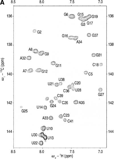 FIGURE 2.