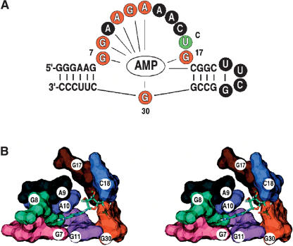 FIGURE 7.