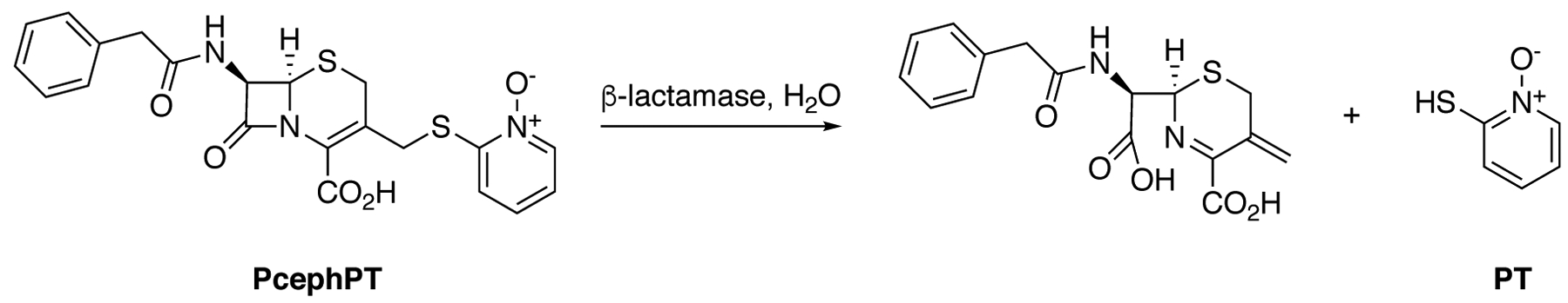 Scheme 1.