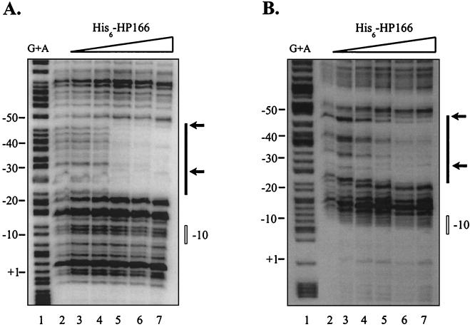 FIG. 7.