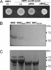 Fig. 4.