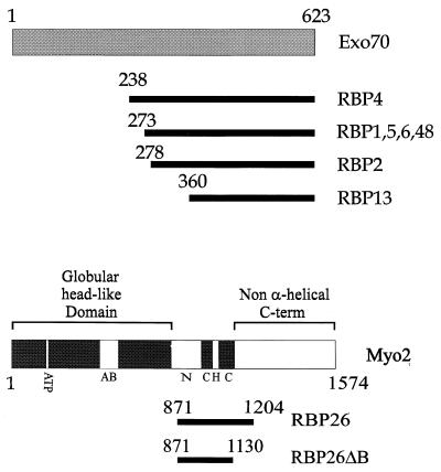 FIG. 1