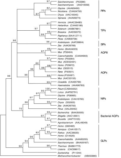 Fig 2.