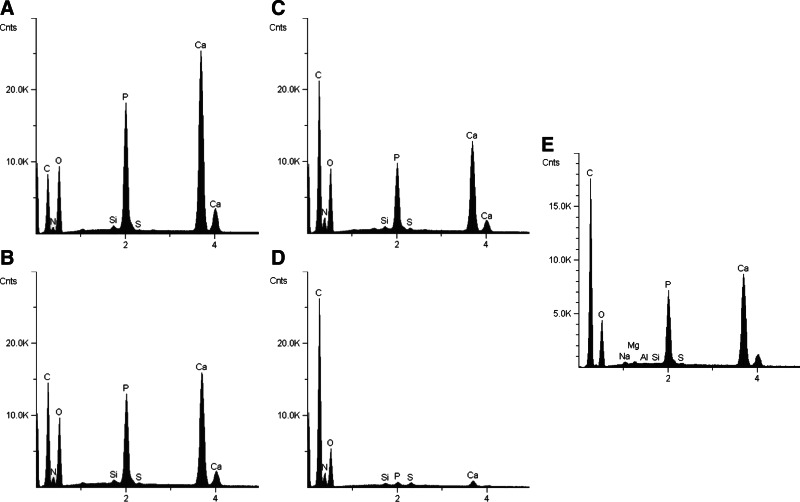 FIG. 5.