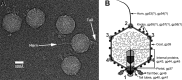 FIG 1