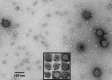 FIG 4