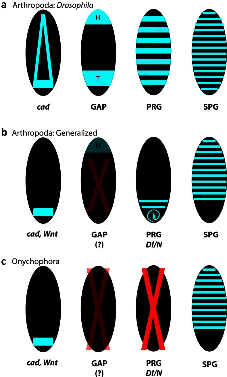 Fig. 5