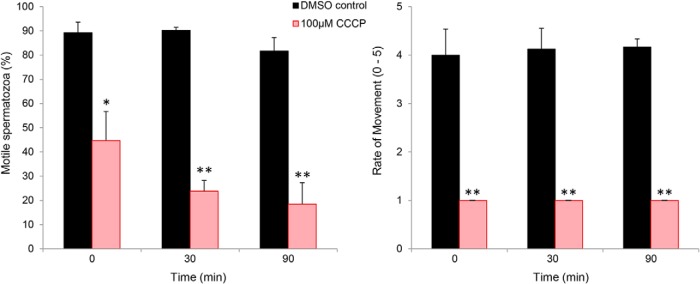 Fig. 10.