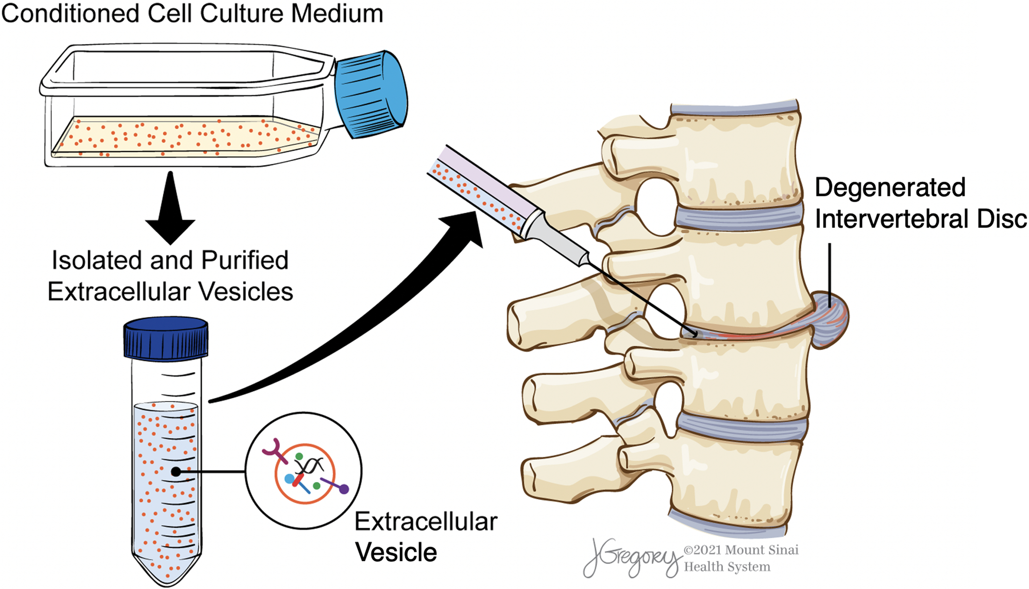 Figure 1: