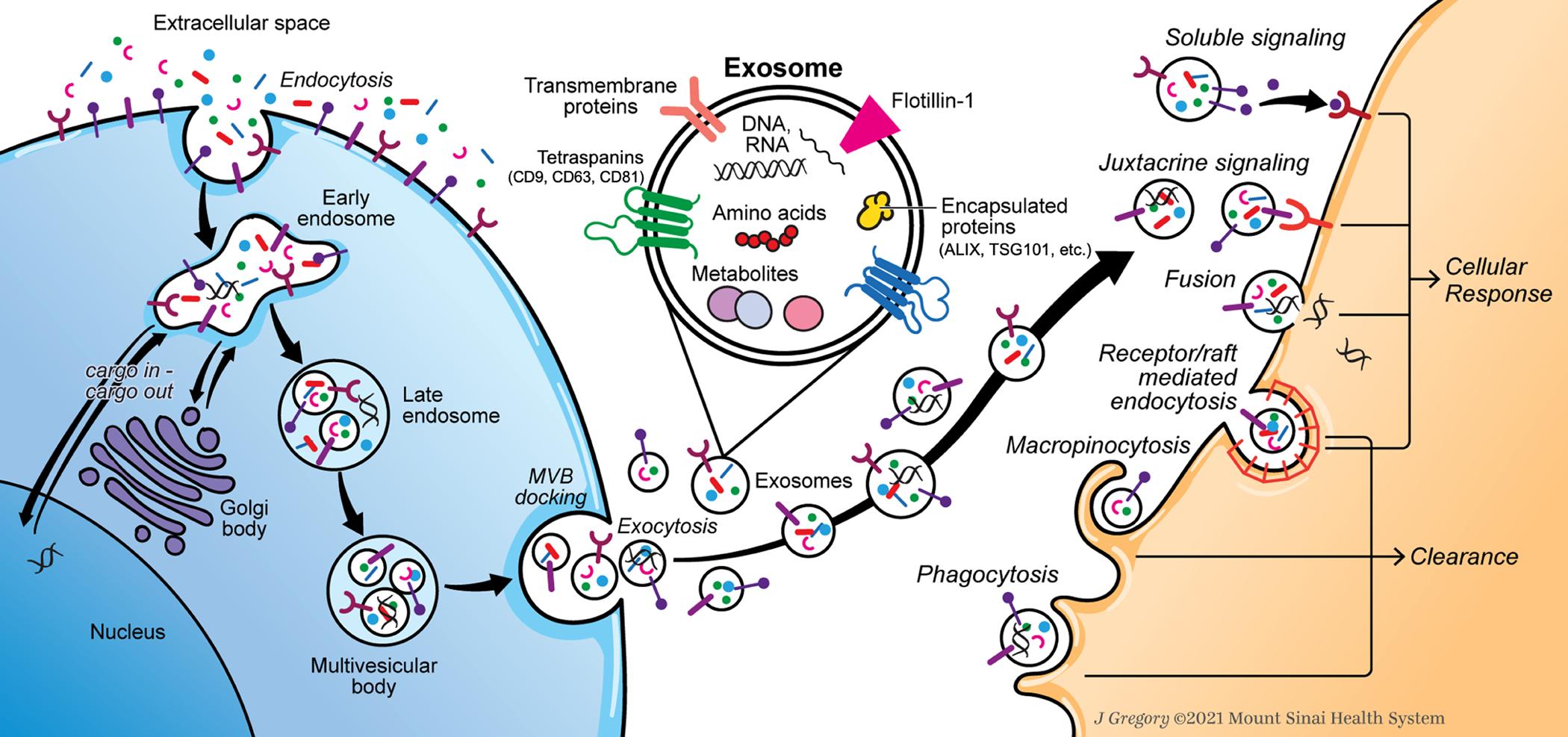 Figure 3: